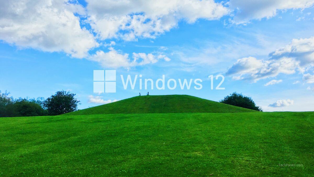 MS Windows 12